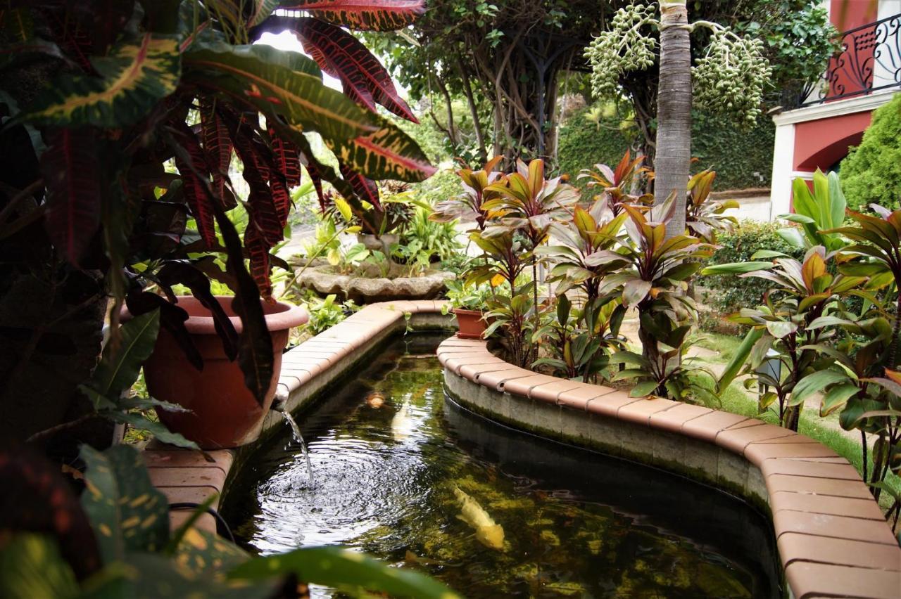 Los Altos Apartments & Studios 马那瓜湖 外观 照片